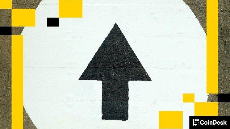 Bitcoin briefly tops $74,000 as ether, sol, ada gains as much as 6% in Monday surge