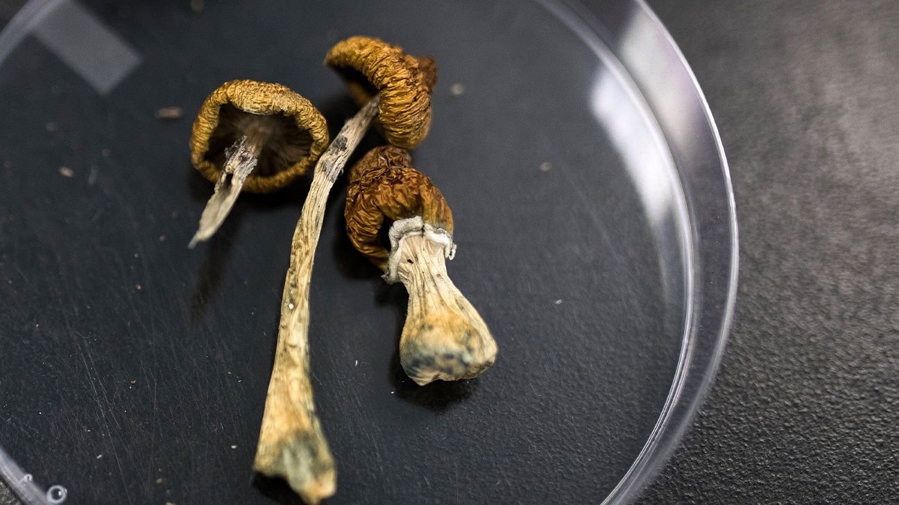 Psilocybin 6 Times More Effective Than Nicotine Patch to Help Smokers Quit