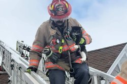 ‘Sharply-dressed’ cat rescued from Maine roof