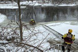 Firefighters rescue golden retriever from thawing Canadian river