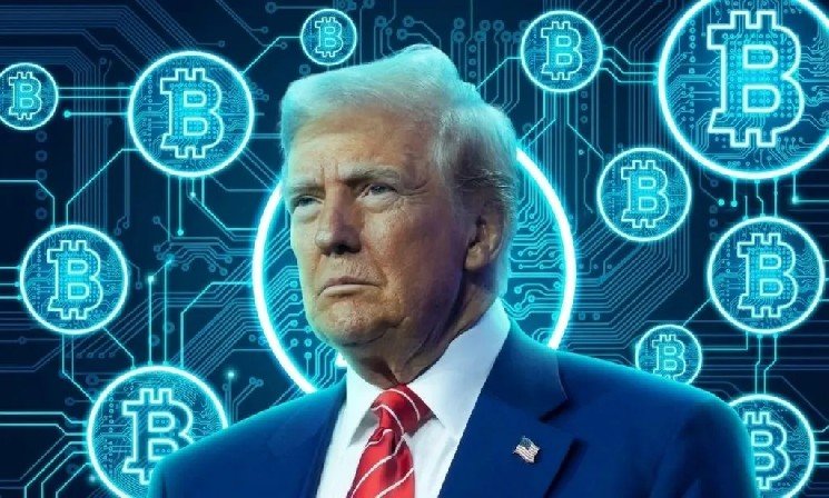 HOT MOMENTS: Bitcoin Soars Following Donald Trump’s Comments
