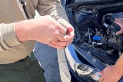 Three kittens rescued from car engine in California