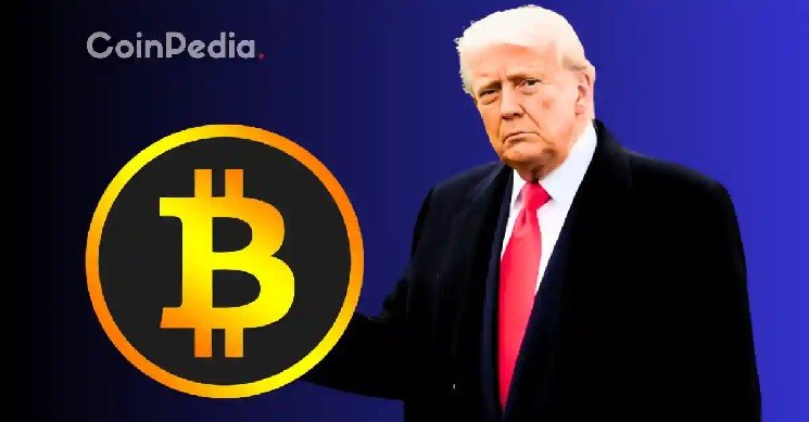 Bitcoin, Ethereum and XRP Prices Fall After Trump’s Speech Today