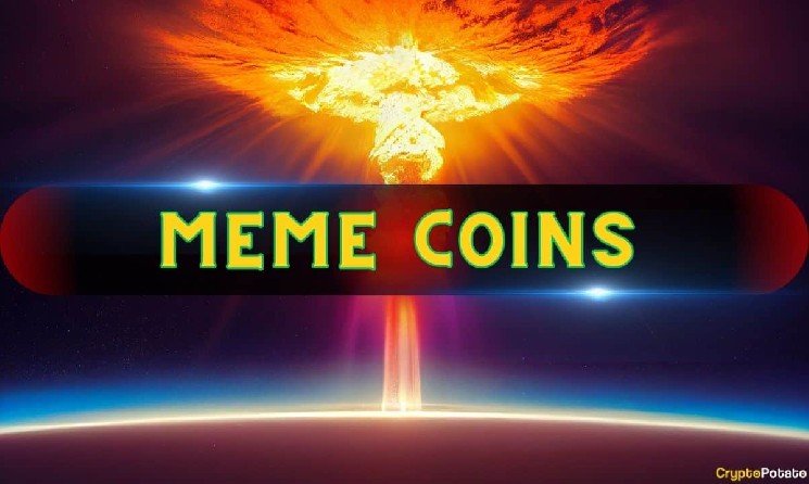 Crypto Veteran Warns: A Handful of Sellers Can Wipe Out Meme Coins in Minutes
