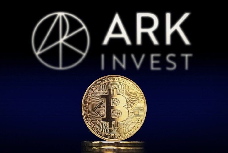 Market Expert ARK Invest Released a Detailed Report on Bitcoin: Have We Hit Bottom, or Are We Yet to See It?