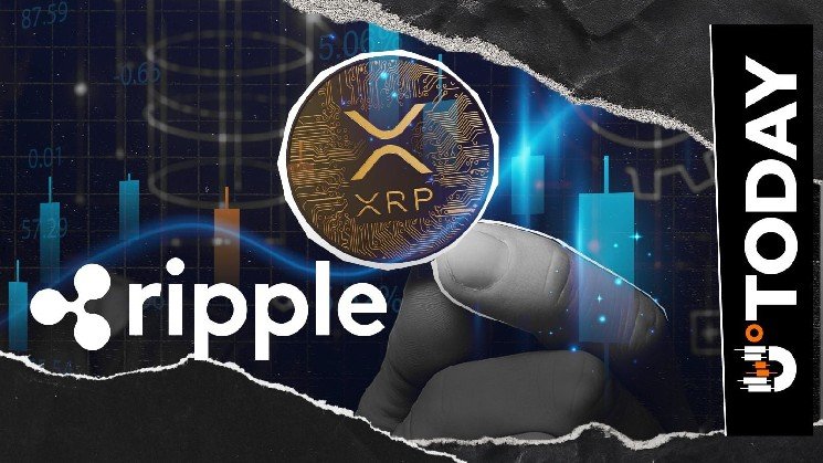 Ripple Engineer Clarifies Key XRP Ledger Update Metric: What’s Important?