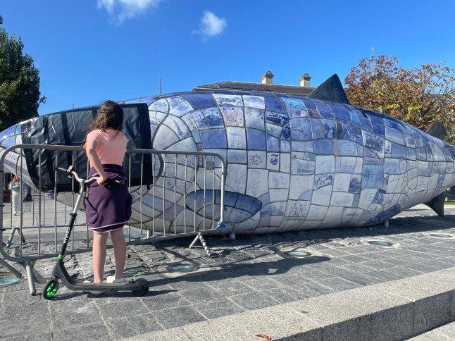Man, 44, charged with smashing Belfast’s Big Fish sculpture
