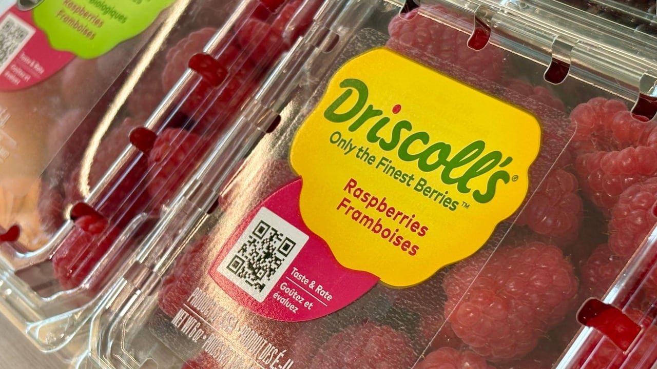 Are the raspberries in my fridge OK to eat? What to know about chemical levels on Driscoll’s berries