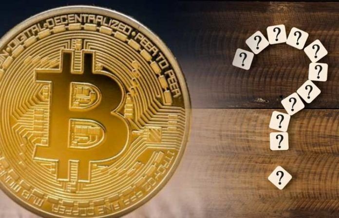 Coinbase’s Former CTO Makes Remarkable Prediction and Praise for Bitcoin and This Altcoin! “Bitcoin Will Be the Money of Institutions, the Other Will Be…