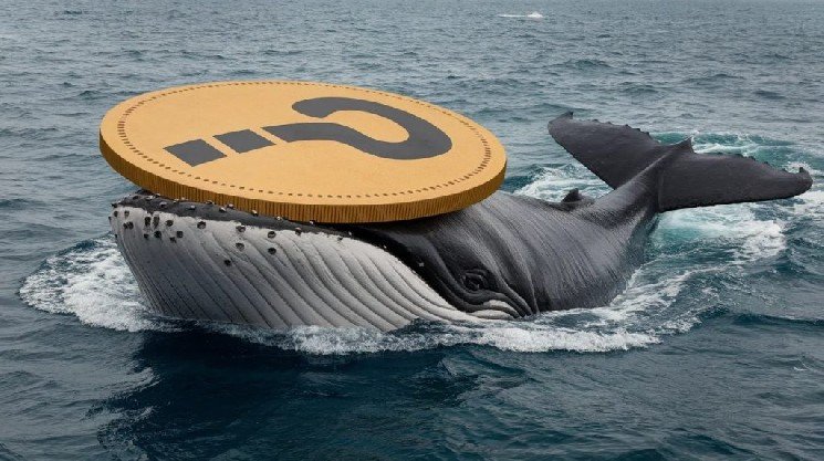 Critical Warning for This Altcoin: Whales Are Turning to Short Positions