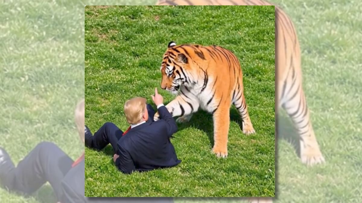 Did Trump post AI video of himself playing with tiger after deadly UK attack?