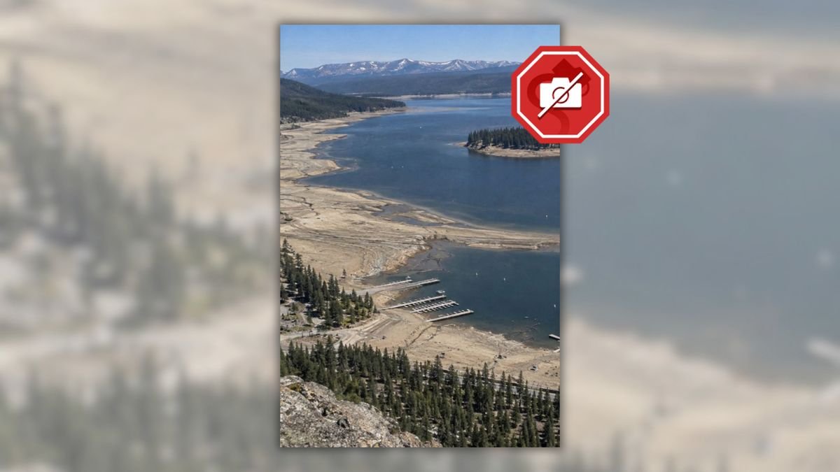 Did water levels at Yellowstone Lake drop 11 feet overnight?