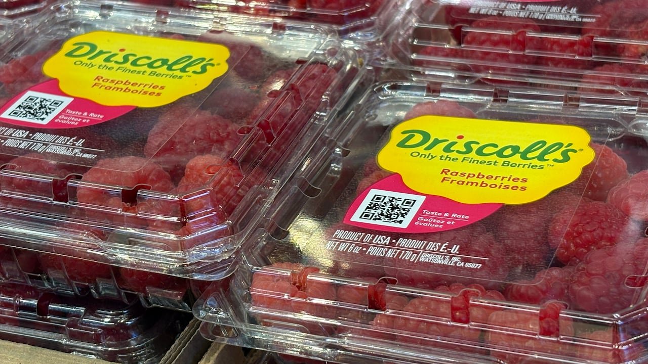 Fruit giant Driscoll’s faces class-action lawsuit in Quebec